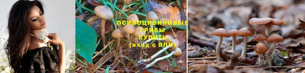 ALPHA PVP Верхнеуральск