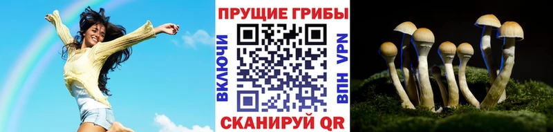 Псилоцибиновые грибы прущие грибы  Тамбов 